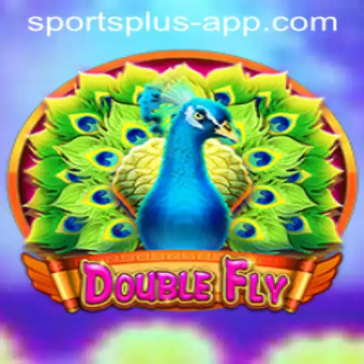Discovering DoubleFly: The Exciting Fusion of Innovation and Sport